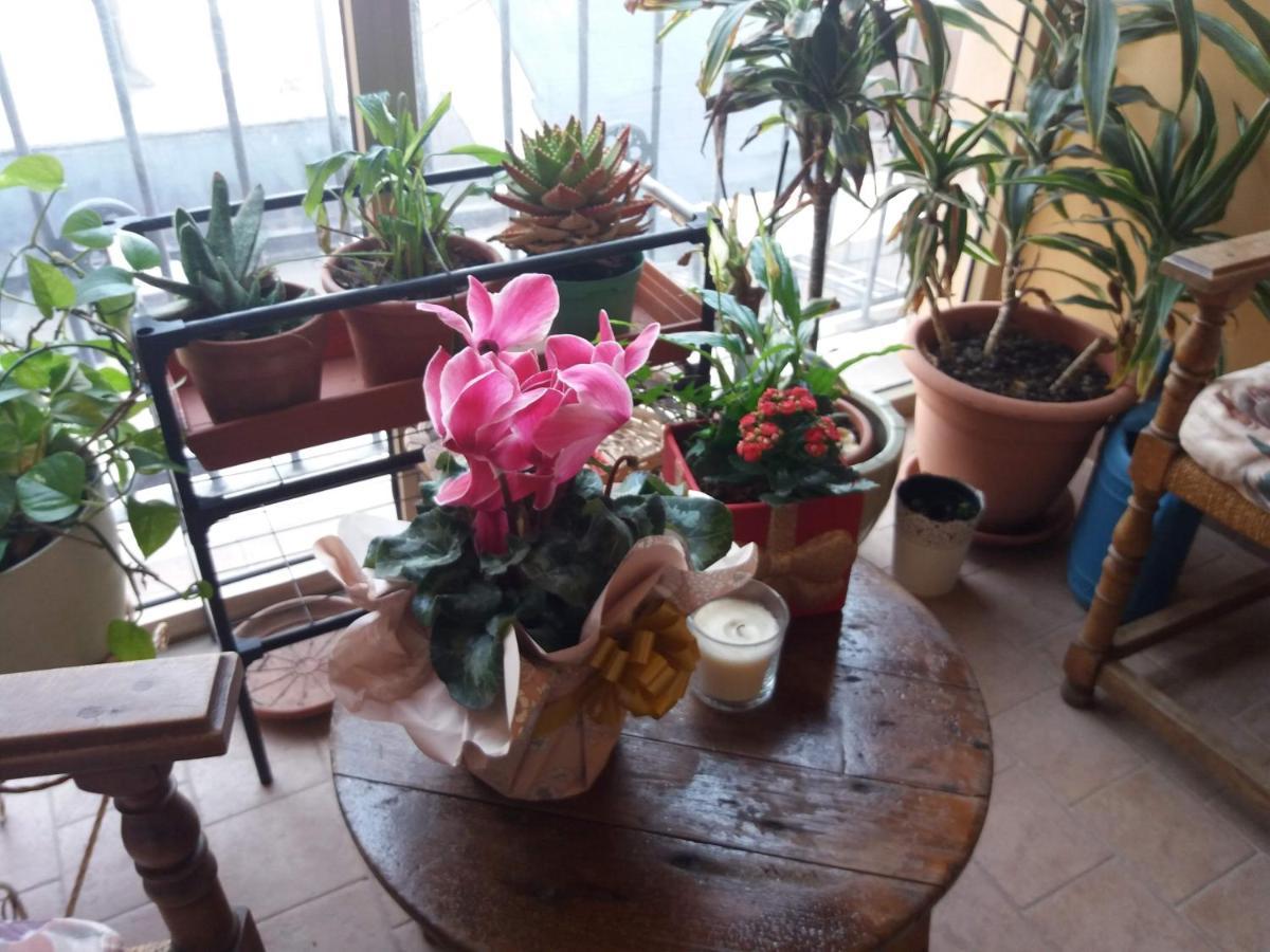 "La Maison Del Corso" Hospitality ปิซา ภายนอก รูปภาพ